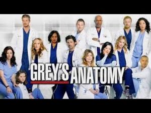 greys anatomy
