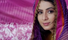 Mr and Mrs 420 2014 Full Movie Free Download