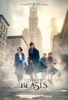 Fantastic Beasts and Where to Find Them 2016 Full Movie Free Download Bluray Fantastic Beasts and Where to Find Them 2016 Full Movie Free Download Bluray