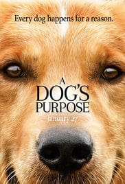 A Dogs Purpose 2017 Dvdrip Full Movie Free Download