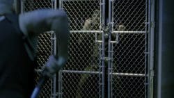 Hostel Part III 2011 Movie Free Download Full HD 720p