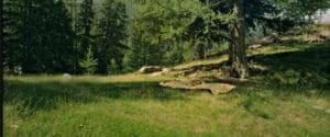 Minuscule Valley of the Lost Ants 2013 Movie Free Download Full HD