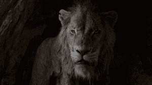 The Lion King 2019 Full Movie Download Free HD 720p Bluray
