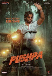 Pushpa The Rise 2021 Full Movie Free Download HD 720p Hindi