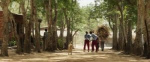 The Boy Who Harnessed the Wind 2019 Full Movie Free Download HD 720p