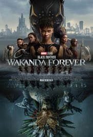 Black Panther Wakanda Forever 2022 Full Movie Download Free Camrip Dual Audio