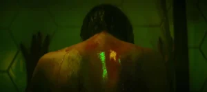 Ash 2025 Full Movie Download Free HD Web-DL